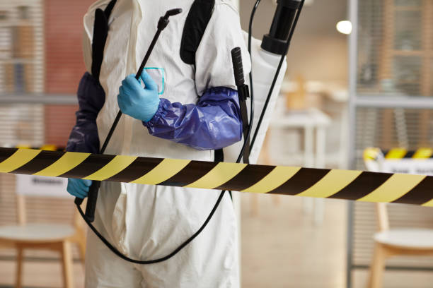 Professional Hoarding Cleanup technician working in Cedar Glen, CA